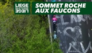 Sommet Roche aux Faucons  - Liège-Bastogne-Liège 2019