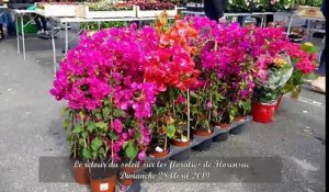 FLORENSAC - Le retour du soleil sur les floralies !