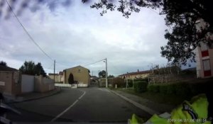Un chevreuil filmé dans les rues de Portes-lès-Valence
