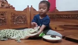 Une enfant joue avec un crocodile et la tête d'un poulet dans son salon