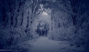 Celtic Music - Winter Fearies -  Musique Celtique - Fées d'hiver 4K !
