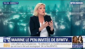 Marine Le Pen assure vouloir faire le maximum pour que "les inconvénients de l'euro soient les moins importants possible"