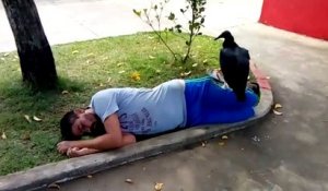Quand un vautour vient se poser sur un homme qui dort... Mauvais signe