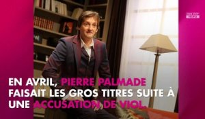 Pierre Palmade : comment Michèle Laroque l’a aidé avec ses addictions