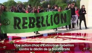 Action "coup de poing" d'Extinction Rebellion au Trocadéro