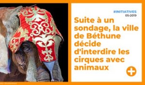 Démocratie : la ville de Béthune interdit les cirques avec animaux