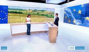 Union européenne : les subventions agricoles devraient baisser