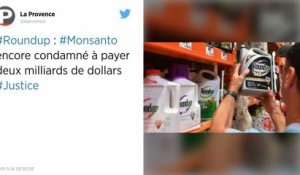 Roundup : Monsanto condamné à verser 2 milliards de dollars à un couple atteint d'un cancer