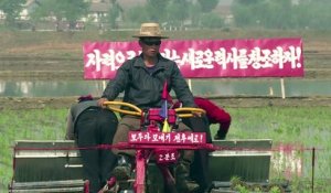 La saison de plantation de riz commence en Corée du Nord