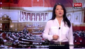Aéroports de Paris : audition du PDG Augustin de Romanet - Les matins du Sénat (22/05/2019)