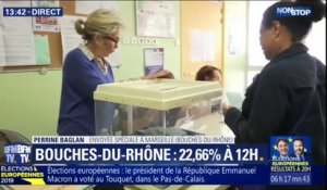 Européennes: les Bouches-du-Rhône très mobilisées, avec 22,66% de participation à midi