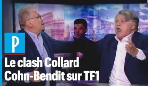 « Ordure ! » : Gilbert Collard et Daniel Cohn-Bendit s'insultent en direct sur TF1