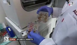 Regardez ce laboratoire qui fabrique de la viande de boeuf... sans animal ! Vidéo