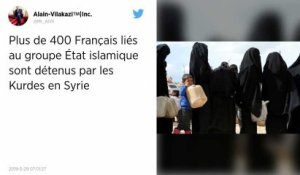 Syrie. Environ 450 Français liés à l’État islamique sont détenus par les Kurdes