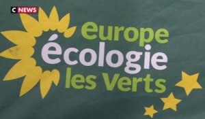 EELV : une primaire pour les Municipales à Paris