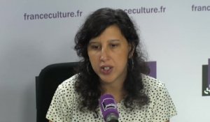 Bibia Pavard "En France, le droit à l'IVG semble consolidé grâce à une transformation en droits des concessions de la loi Veil, notamment avec la création du délit d'entrave à l'IVG. Il y a en face une nouvelle génération galvanisée de groupes pro-vie."