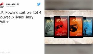 Harry Potter. Quatre nouveaux livres sur l'univers du sorcier bientôt publiés