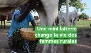 Burkina Faso : Une mini laiterie change la vie des femmes rurales