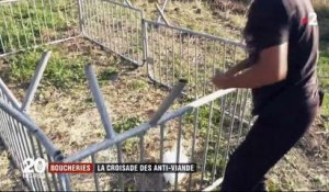 Les caméras de France 2 filment des anti-viande libérer des volailles dans un abattoir en pleine nuit - Vidéo