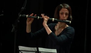 Jean-Sébastien Bach : Concerto Brandebourgeois n° 5 en ré Majeur BWV 1050 (Le Stagioni)