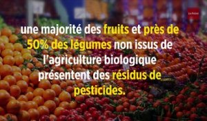 Gare aux pesticides dans les fruits et légumes non bio !
