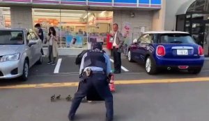 Ces policiers japonais aident des poussins à traverser la route !