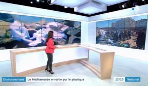 Environnement : les Marseillais se mobilisent contre le plastique en Méditerranée