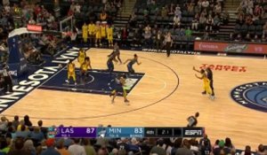 Sylvia Fowles Posts 20 points & 13 rebounds vs. Los Angeles Sparks