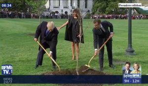 Le chêne planté à la Maison Blanche par Donald Trump et Emmanuel Macron est mort