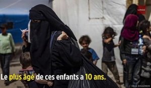 Syrie : 12 orphelins de familles djihadistes de retour en France