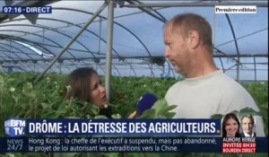 Orages: cet agriculteur devrait débourser 18.000 euros pour réparer les dégâts survenus sur le plastique de sa bâche