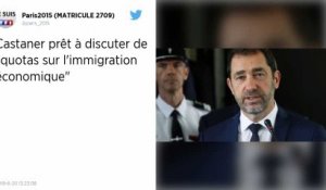 Pour Christophe Castaner, « les quotas sur l’immigration économique » seront débattus au Parlement