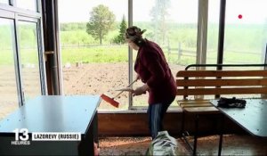Russie : un village infesté de mouches
