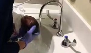 La tête de ce bébé pendant son premier shampoing ! Détente maximum !