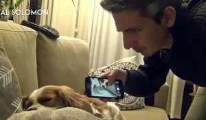 Un Chat Ronfle Dans Le Micro Sur Orange Videos