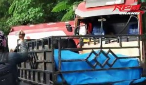 Un homme saute d'un bus dont les freins ont laché