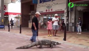 Ce japonais vit avec un crocodile de compagnie et se ballade en ville avec lui