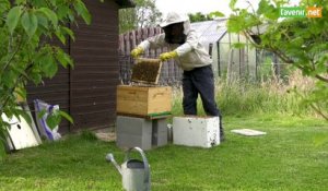 L'Avenir - Accueillir une ruche dans son jardin