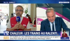 Chaleur: les trains au ralenti