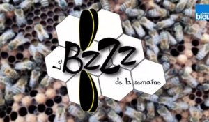 Le_BZZZ_de_la_semaine_5