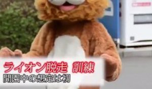 Quand le zoo Tobe à Aichi organise un exercice d'évasion de lion : un peu ridicule