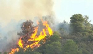 Un incendie dévaste plus de 5 500 hectares de forêt en Catalogne