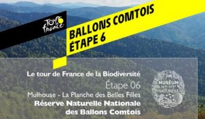 Étape 6 : Réserve naturelle nationale des Ballons Comtois