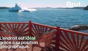 Au Canada, les icebergs deviennent une attraction touristique