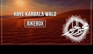 Haye Karbala Walo (Syed Afaq Hussain Rizvi) | Nohay | Muharram | Audio Jukebox
