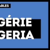Algérie - Nigeria : les compositions probables