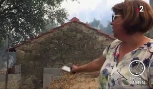 Portugal : les incendies ravagent toujours le pays