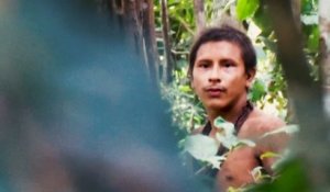 De rares images de la tribu Awa, menacée d'extinction en Amazonie