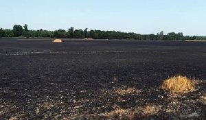 Plus de 500 hectares de récoltes partis en fumée dans l'Eure, comme à Piseux