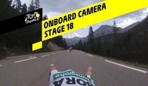 Onboard camera Emotions - Étape 18 / Stage 18 - Tour de France 2019